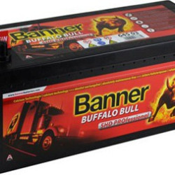 Banner Buffalo Bull SHD PROfessional 12V 145Ah 800A Bal+