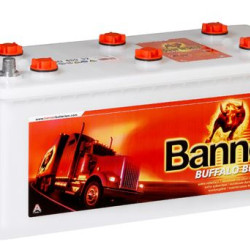 Banner Buffalo Bull SHD 12V 170AH 1000A Jobb+ Akkumulátor