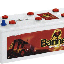 Banner Buffalo Bull 12V 110Ah 720A Jobb +